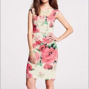 Ann Taylor Floral Sheath Dress